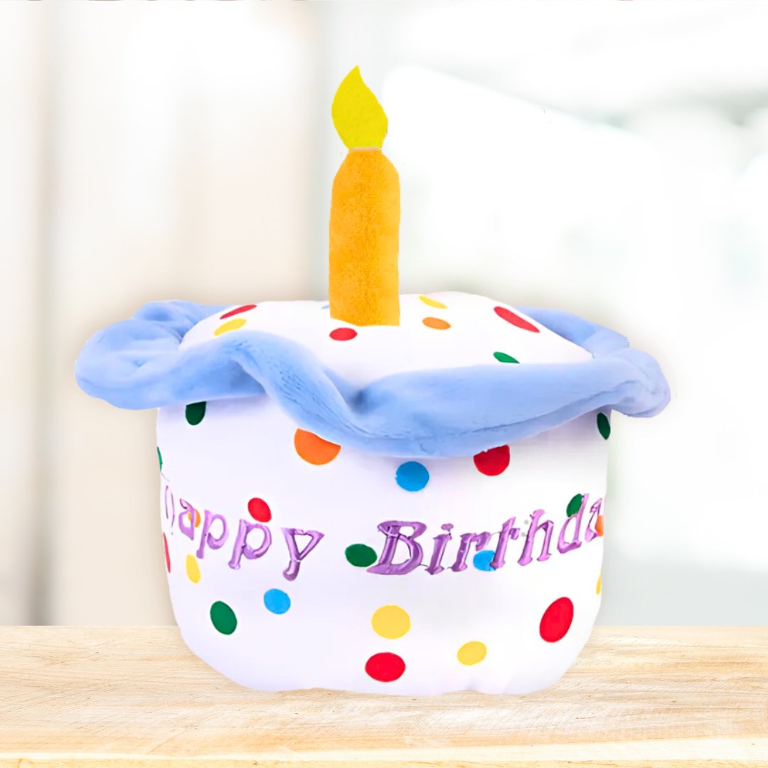 Birthday Cake Toy