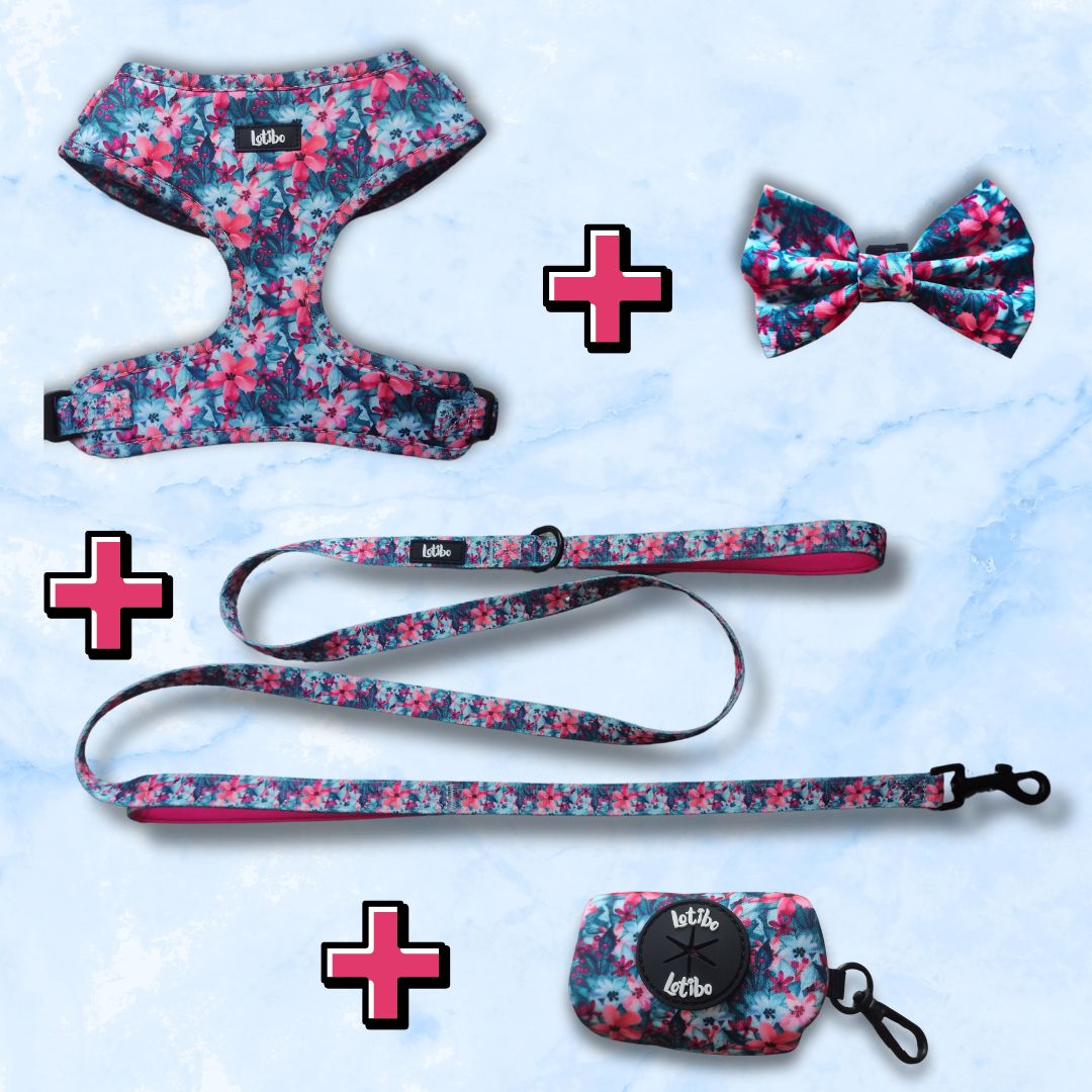 Lotibo Floral Bundle - Large