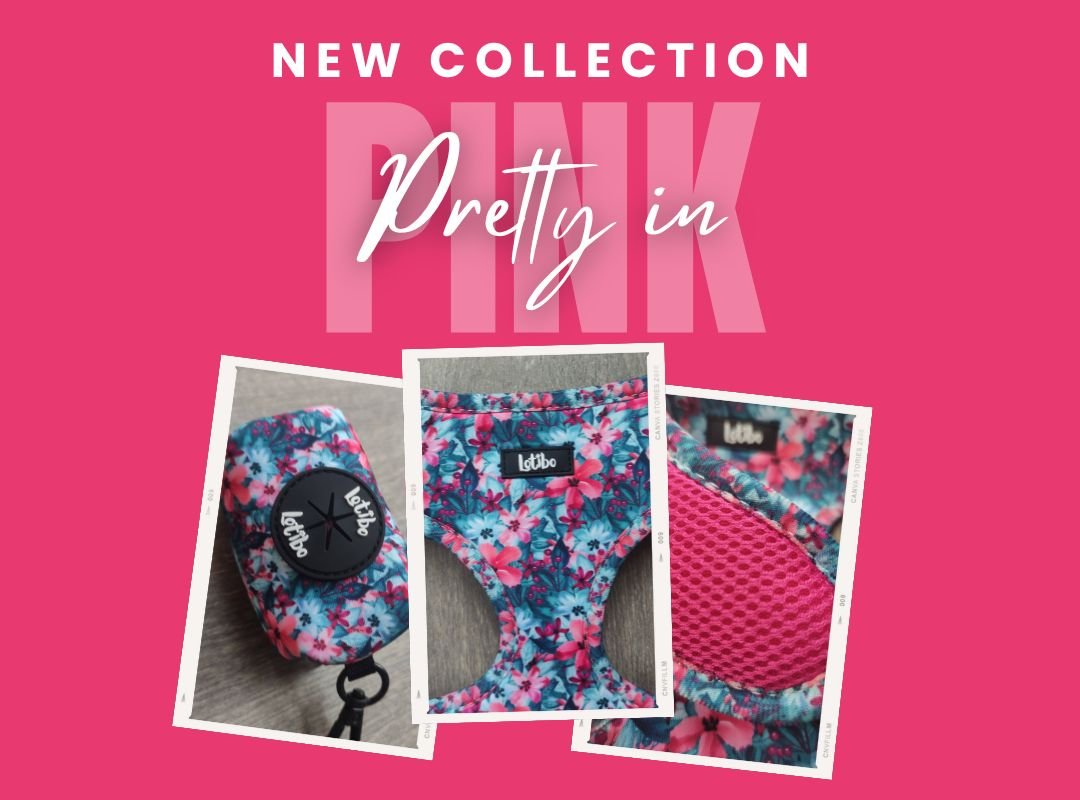 Lotibo Floral Bundle - Large