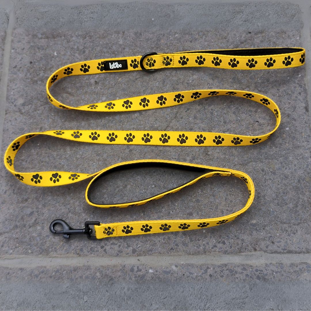 Lotibo Paw Bundle - Medium