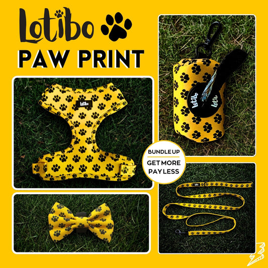 Lotibo Paw Harness Bundle (4 Piece)