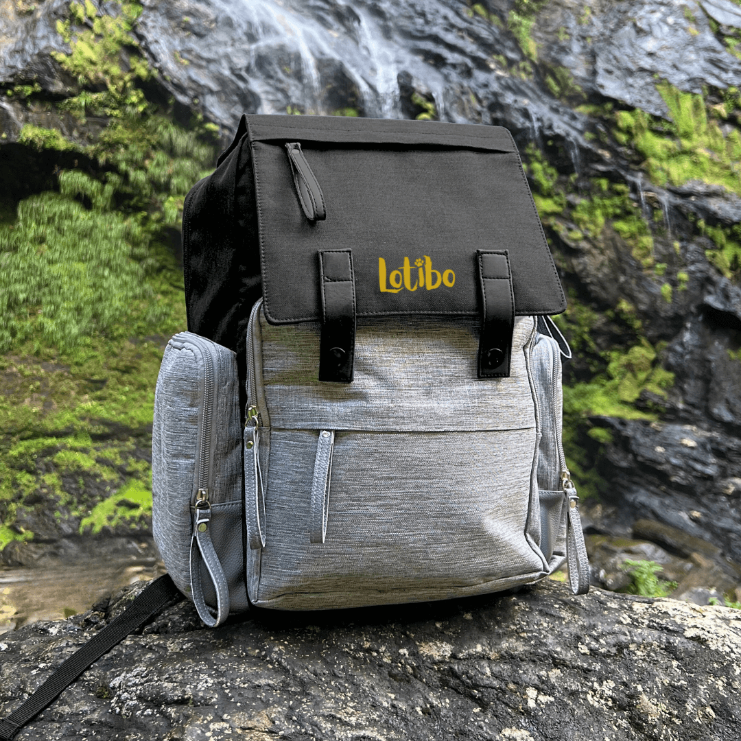 Backpack Set