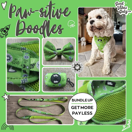 Lotibo Doodle Bundle - Large