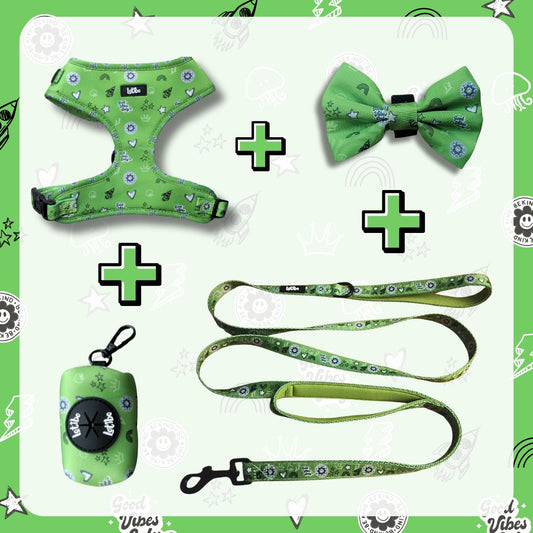 Lotibo Doodle Bundle - Small