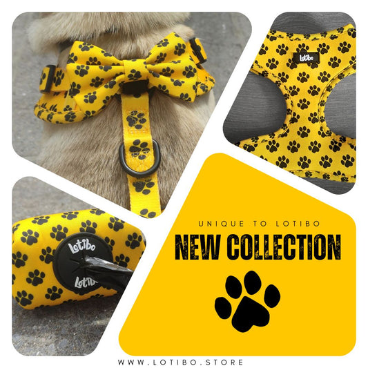 Lotibo Paw Bundle - Medium