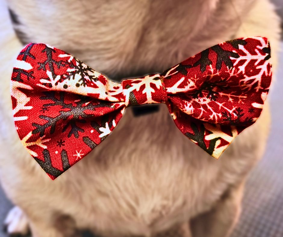 Christmas Bow Tie